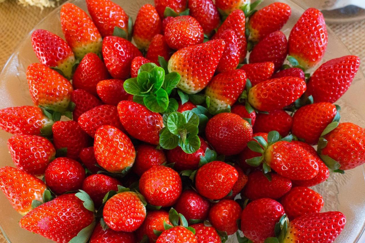 Agroturismo Son Vives Menorca - Adults Only Ferreries Zewnętrze zdjęcie